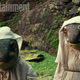Image: Entertainment Weekly